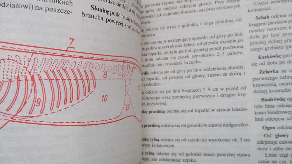 Domowe przetwory z mięsa / kuchnia / przetwory / kiełbasa/mięso