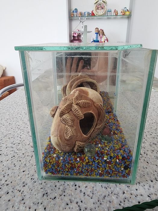 Акваріум міні з декором