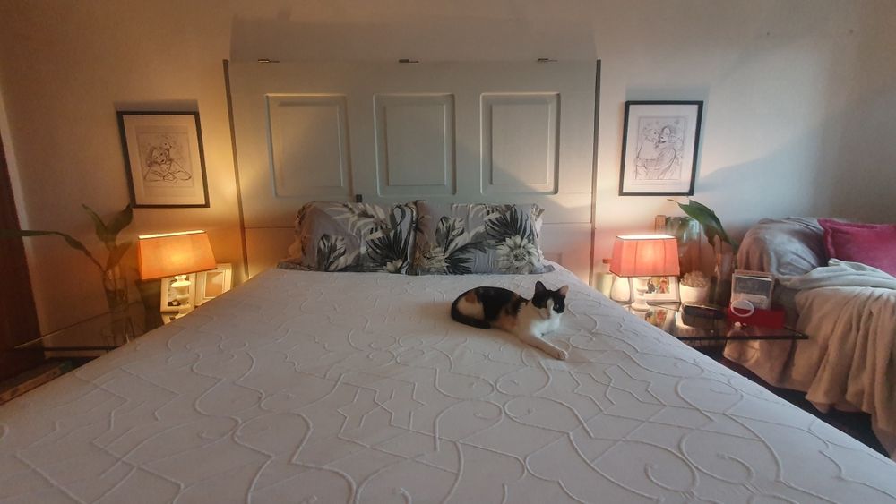 Conjunto de 2 abajures urgente