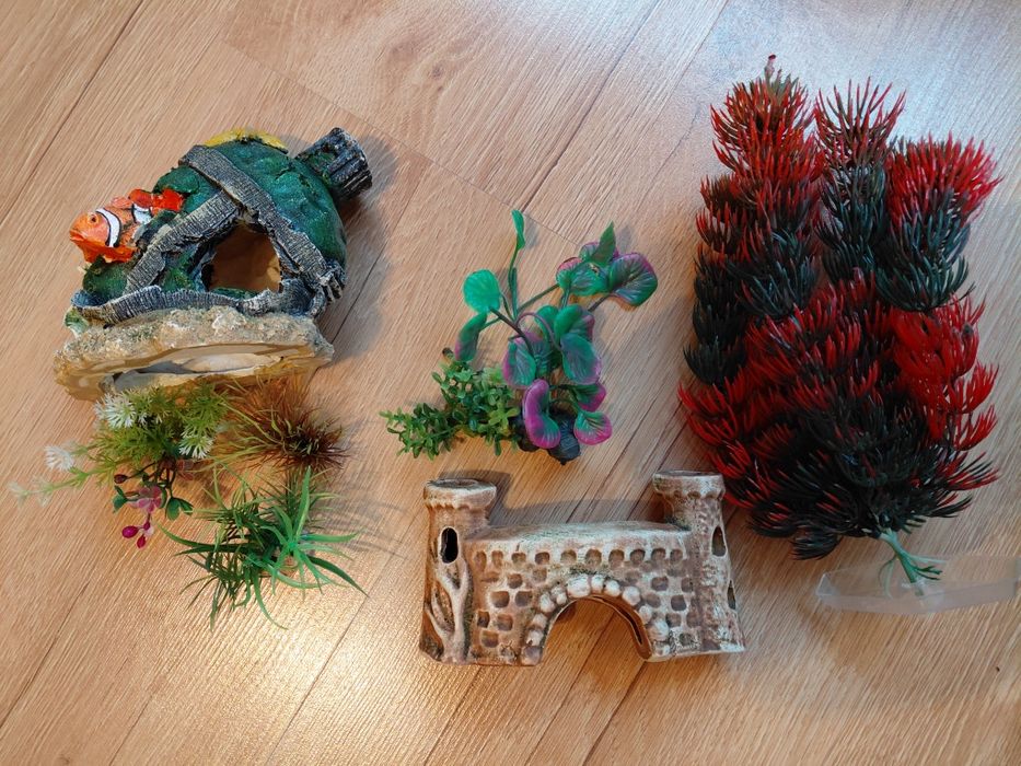 Akwarium 25 l + wyposażenie