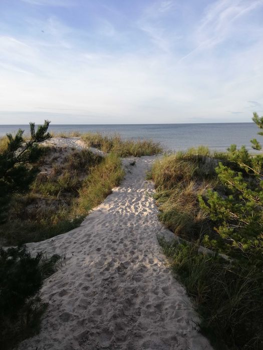 Apartament na wynajem  w Shellter&Aparments