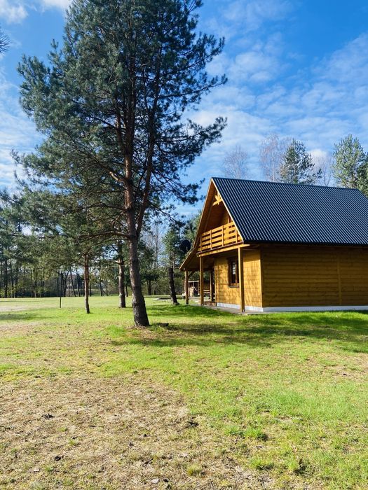 Wynajem domków!!! Balia, alpaki !