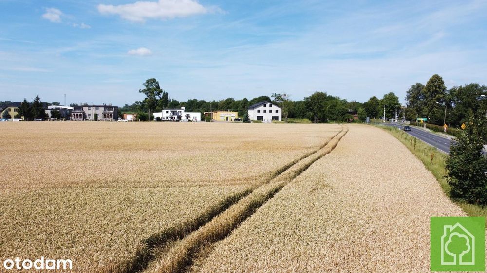 Działka, Unisław - Więcej