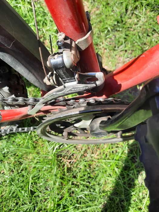 Rower author matrix 24"