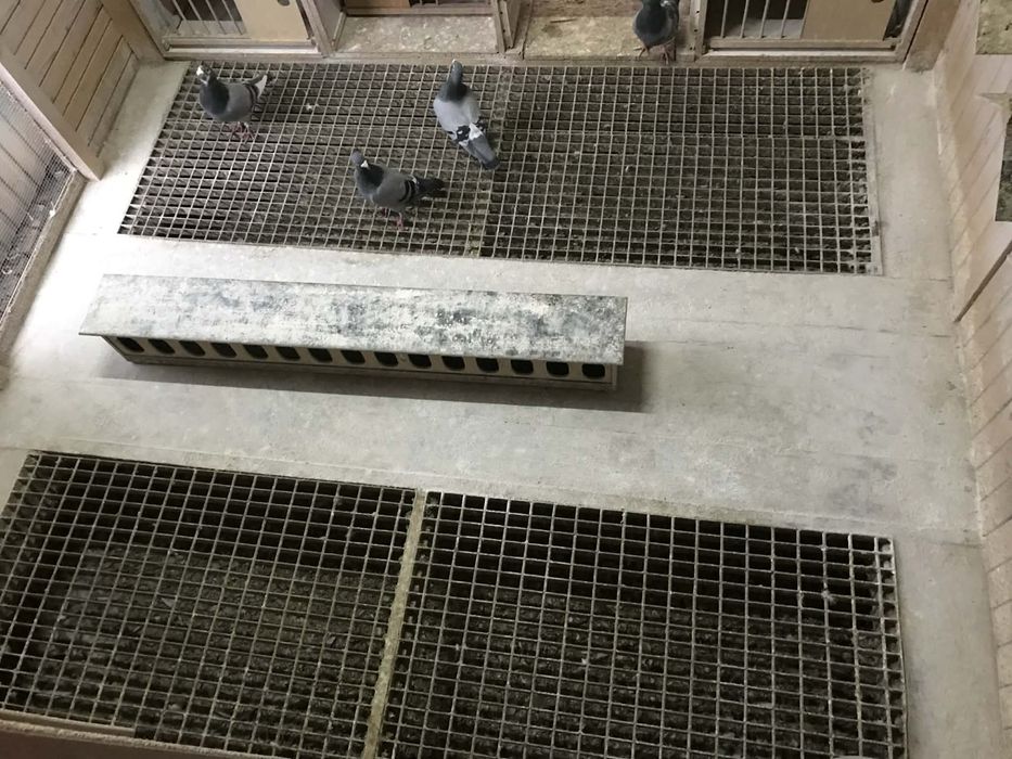 Pilnie sprzedam Gołębnik !!