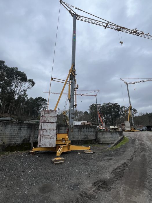 Grua automontante potain hd 25