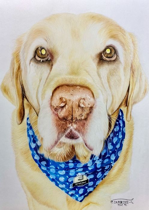 Retratos canino/felino desenhados à mão