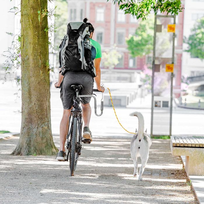 Smycz uchwyt do roweru Springer dla psa