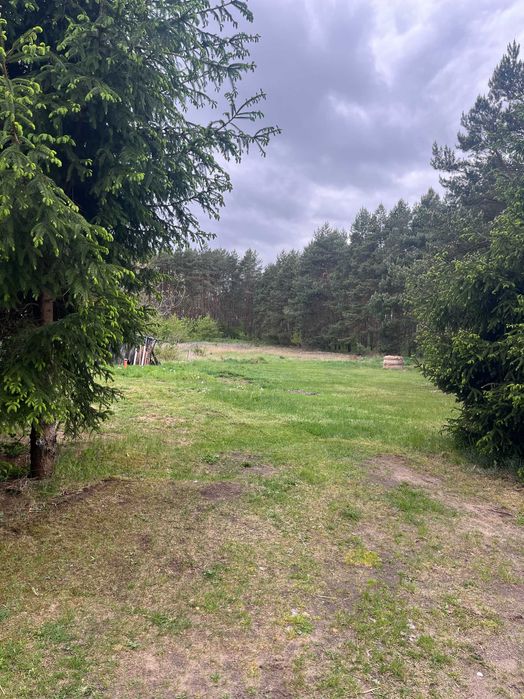 Działki budowlane Pszczelnik