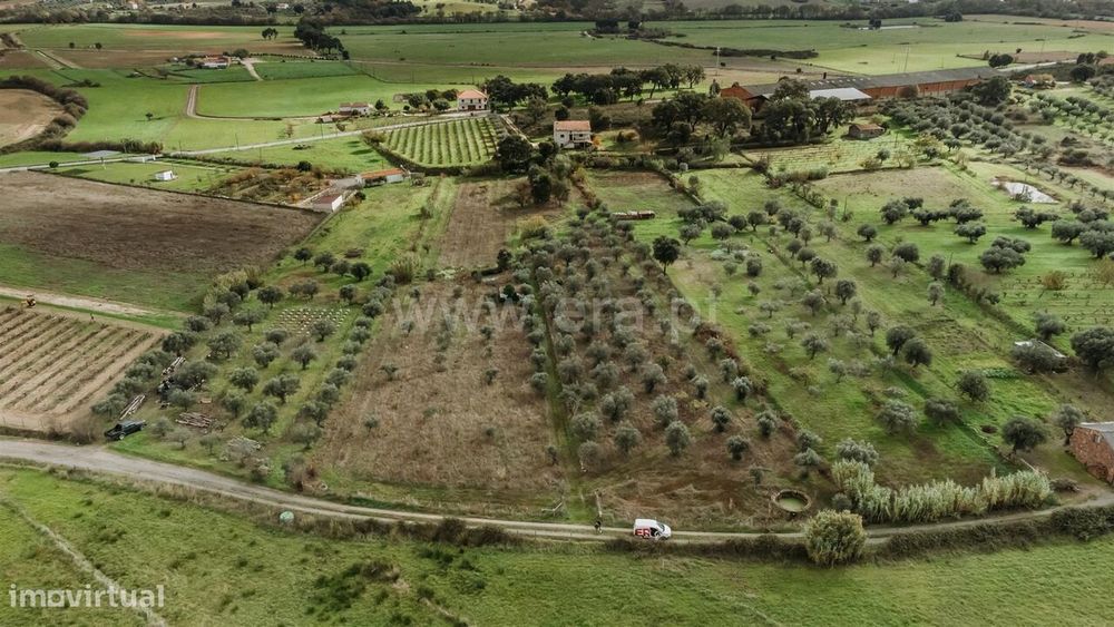 Terreno Rústico / Fundão, Telhado — Telhado, Castelo Branco