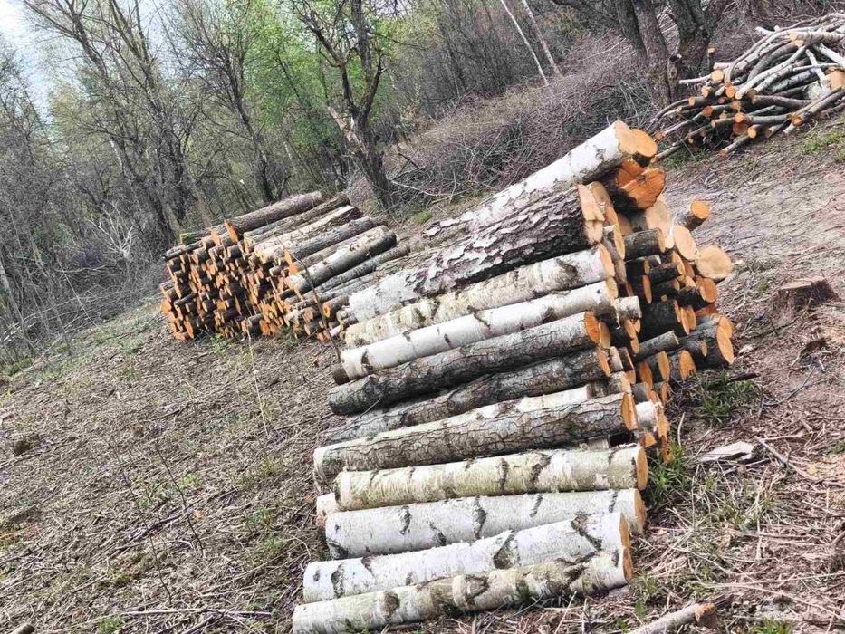 Дубові Сухі дрова Бровари/ доступні ціни