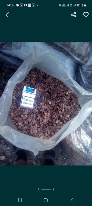 Акція! Кора середня та крупна опт