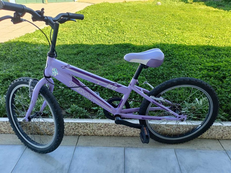 Bicicletas diversas