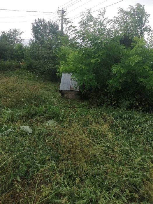 Будинок сад та город