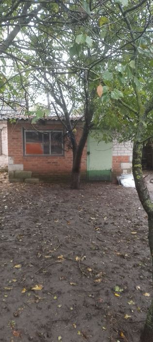 Продається будинок із земельною ділянкою. Прилуцький район, с. Гнідинці