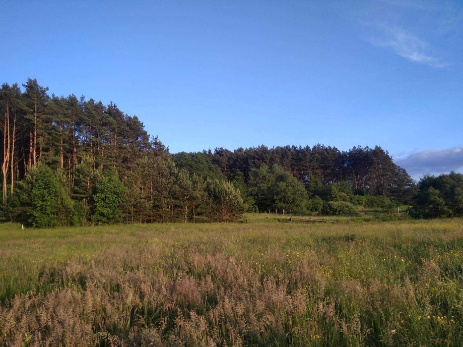 Продаж зем. ділянки під забудову біля лісу с. Карачинів