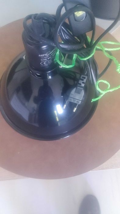 Lampy do terarium