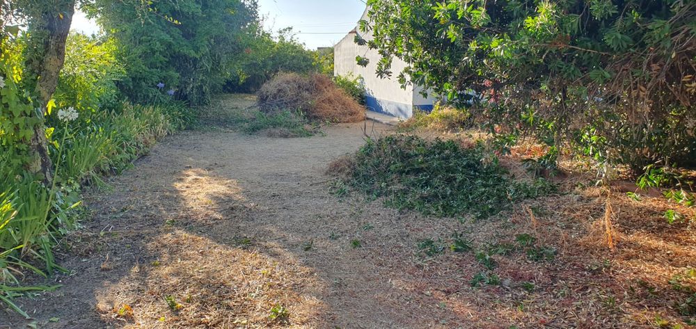 Limpeza de lotes e terrenos