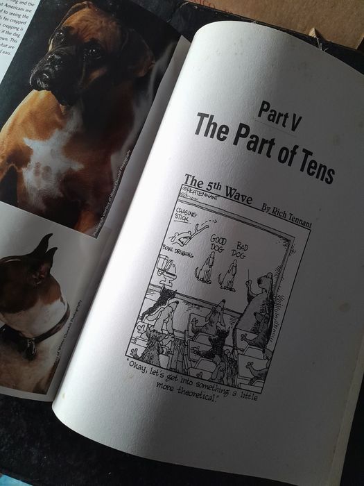 Livro Boxers for Dummies em inglês