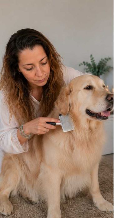 Pet sitting (cães e gatos)