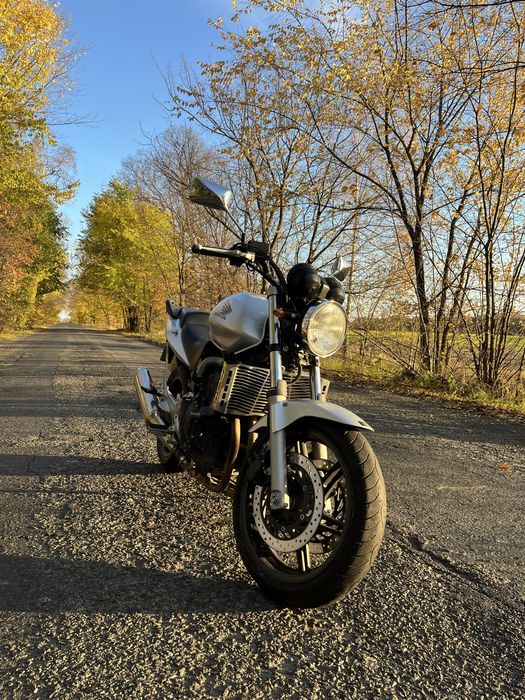 Продається Honda cbf600n