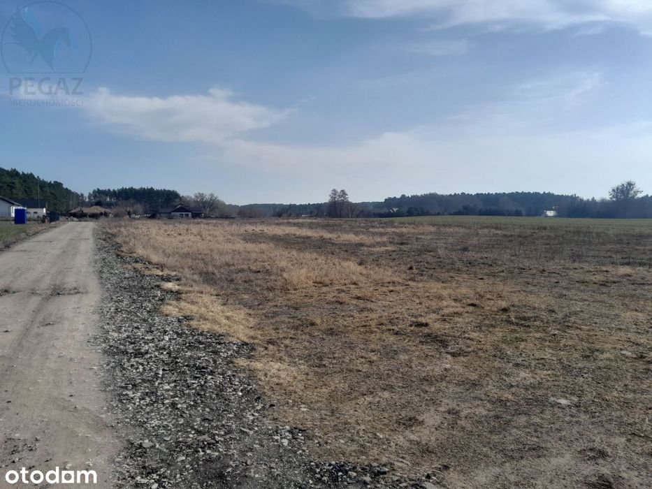 Urokliwe działki budowlane w Kuźniku pod lasem. - Widok 2