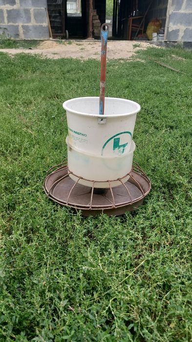 Paśnik do kurczaków kur gołębi