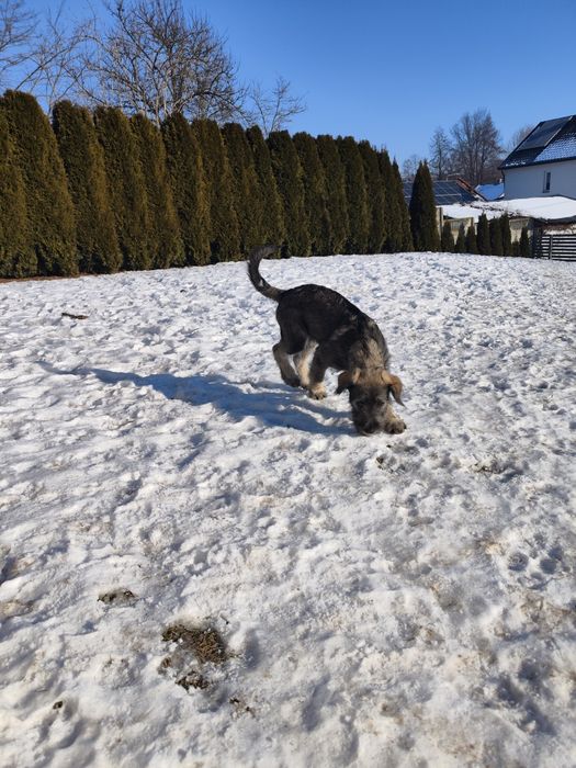 Szukamy najlepszego domu pod Słońcem