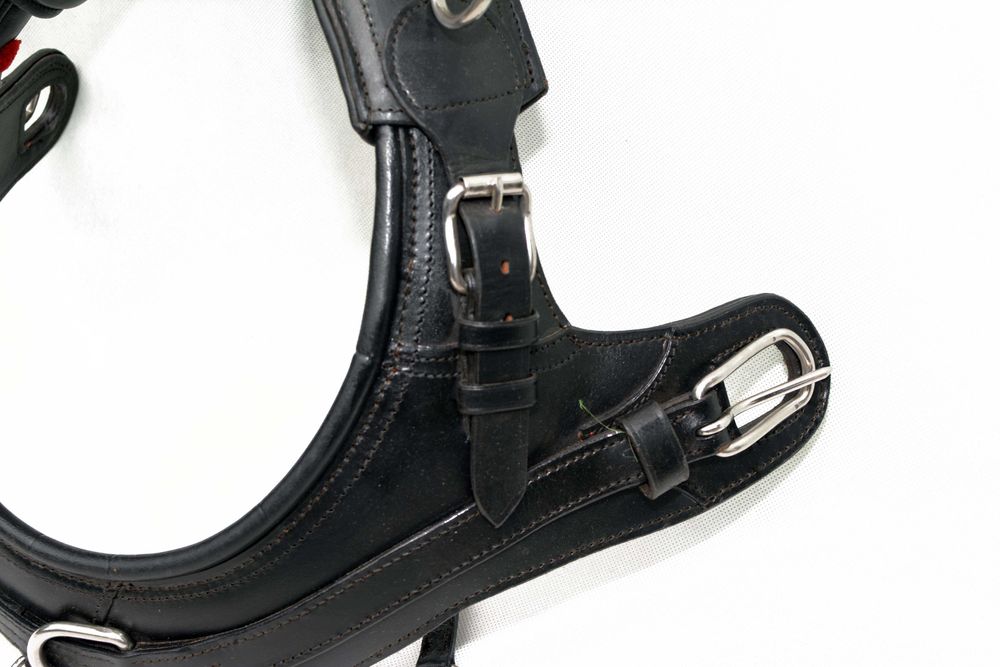 Chomąnto do zaprzęgu roz. shetty