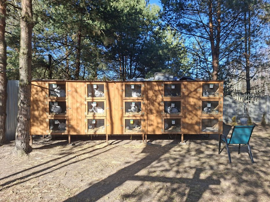 Klatka dla królików 15 boxów