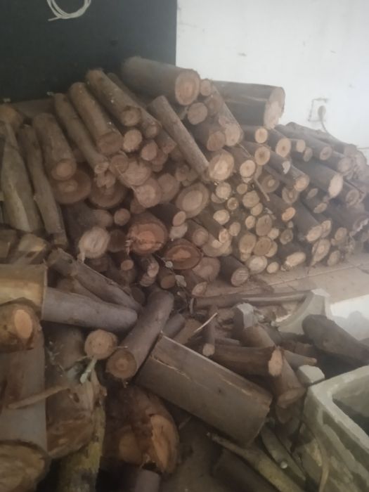 Lenha de eucalipto, oliveira,pinho