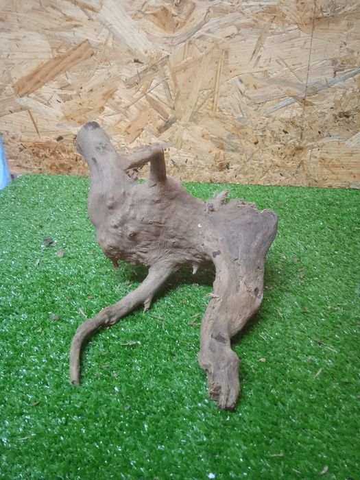 Korzeń do akwarium Red Moore Wood nr 492 o wymiarach 19/15/17