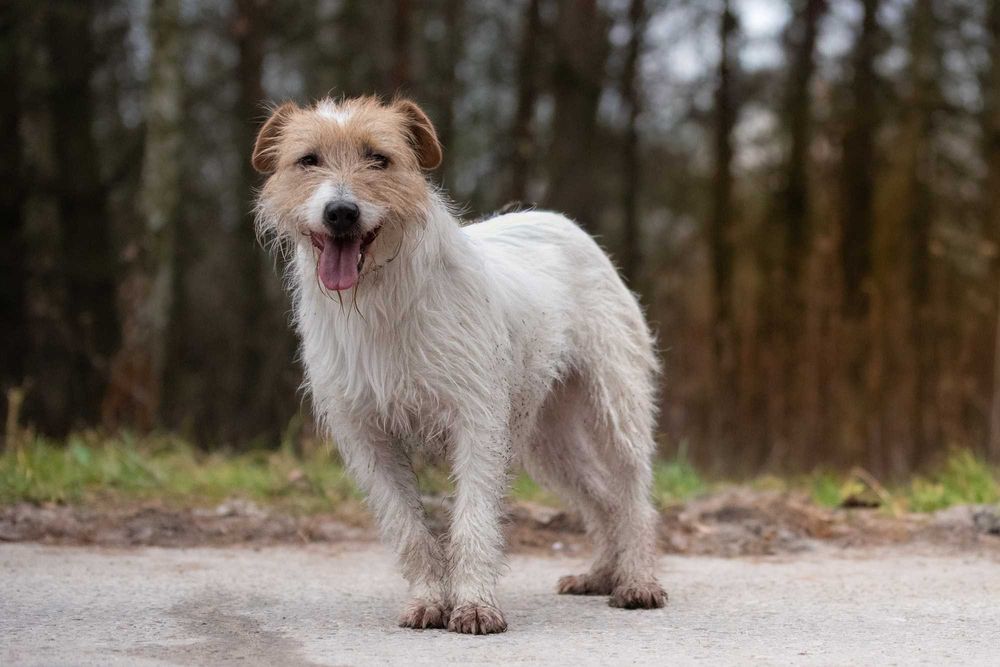 ARKA - czy ktoś w końcu mnie pokocha?