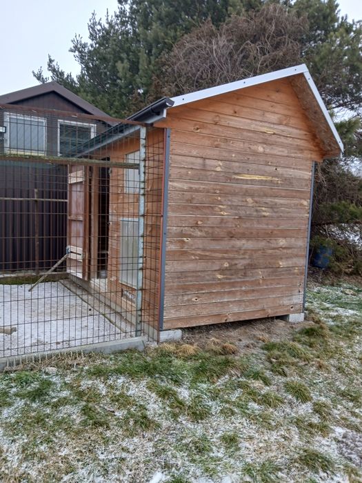 Gołębie i gołębnik