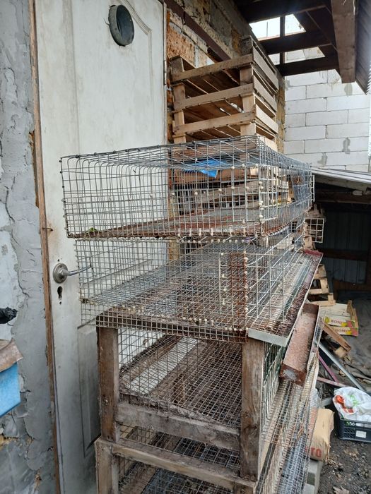 Клітки для перепелів