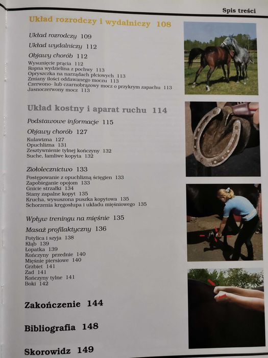 Koń zdrowy jak. Bożena Urbaniak-Czajka