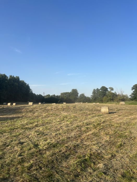 Witam. Sprzedam siano.