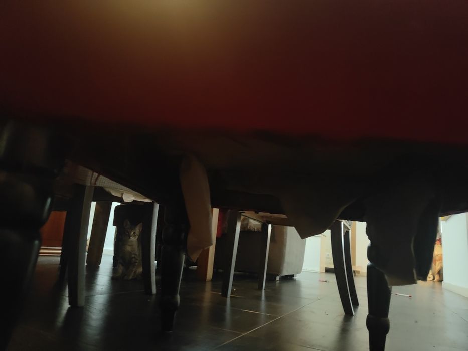 Cadeirões bordeaux para restaurar
