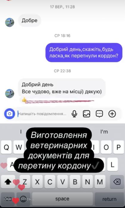 Документы для животных титры сертификат