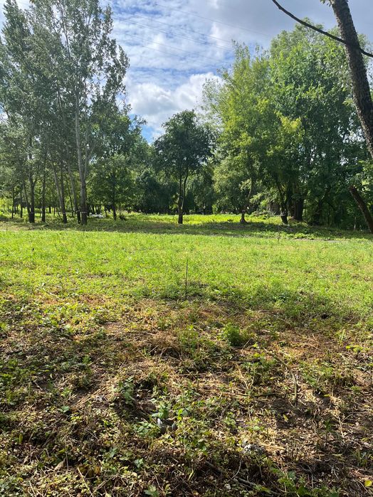 Działka rekreacyjna 1000m2 w Łomiankach