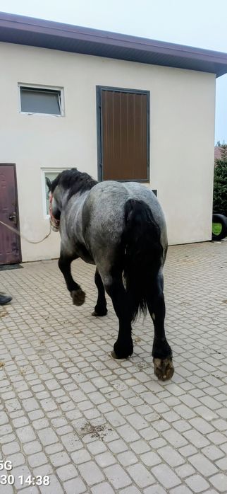 Uran  25 mięs. 167.230.29 .