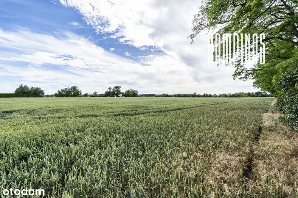 Atrakcyjna działka z WZ – Prusy, Kampinos