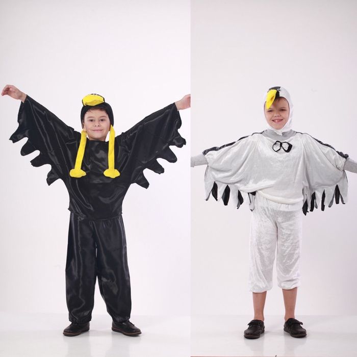 Костюмы муха пчела шмель комарик кузнечик сорока журавль ворон жук: 180 ...