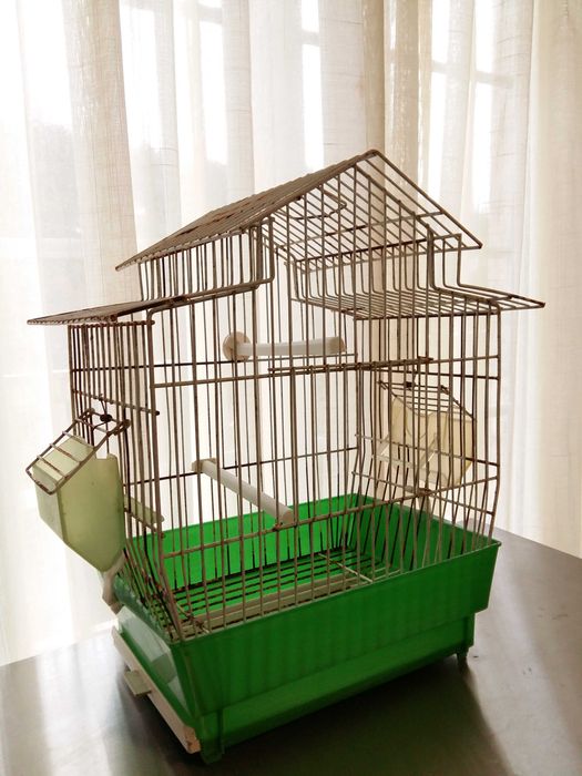 Gaiolas e Viveiros - Pássaros