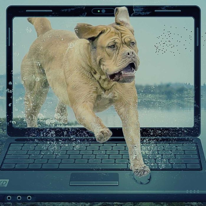 Serviços de informática