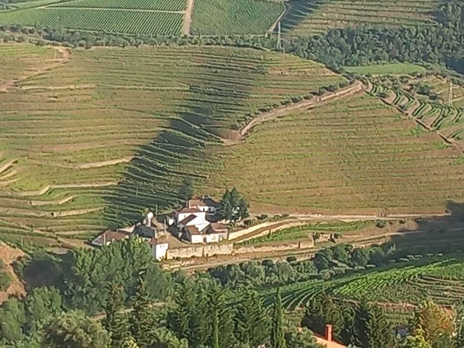 Vende-se Quinta no Douro