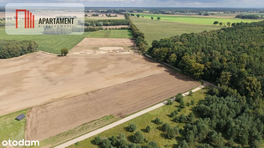 Działki z WZ – Grabowiec k. Iławy - Widok 4
