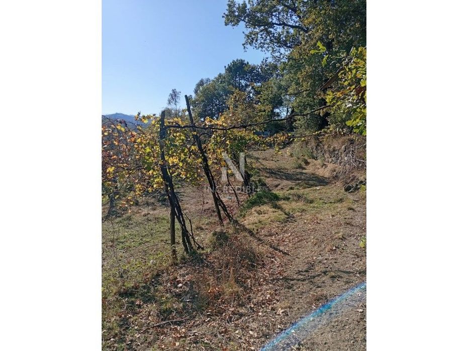 Terreno Rústico, Braga, Vila Verde