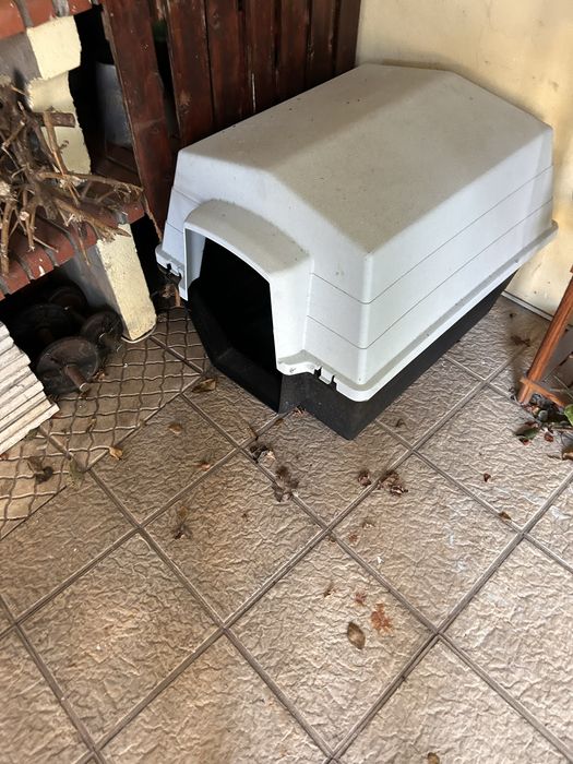 Casota para cão (porte médio)