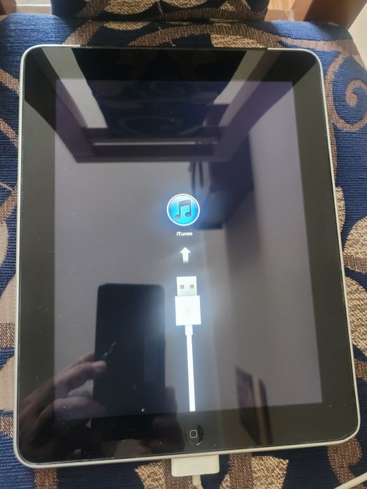 Ipad 1 generacji (2010 plus)